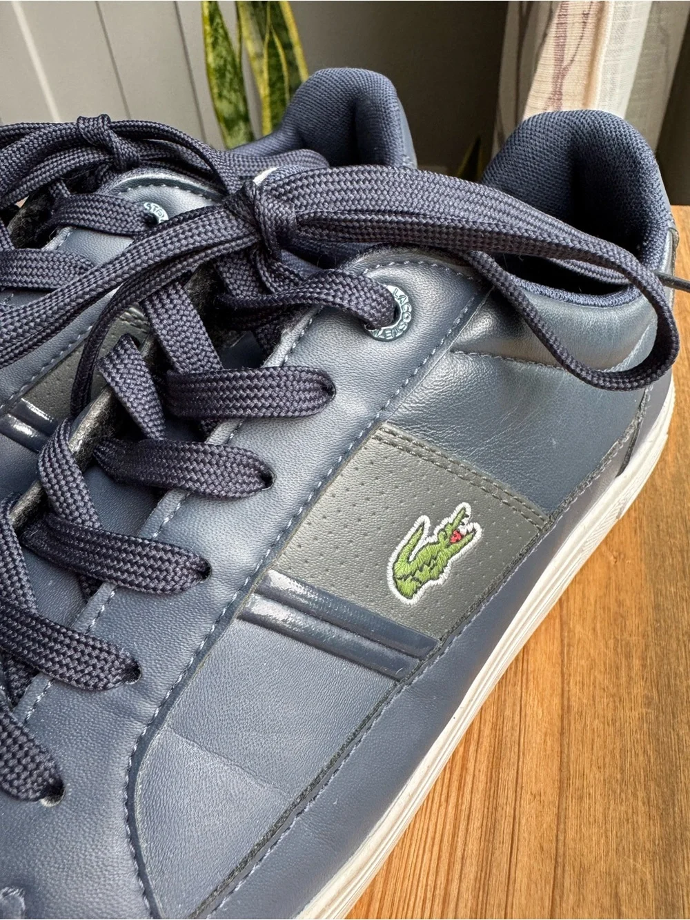 Lacoste europa lcr